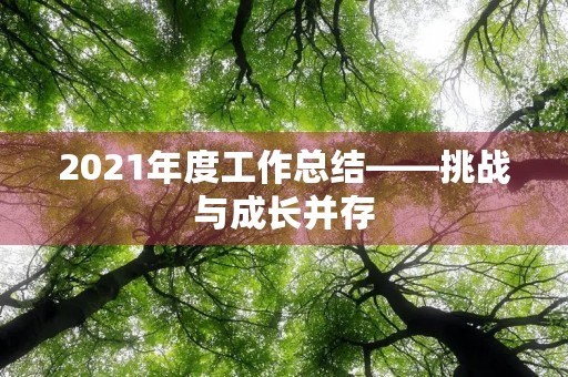 2021年度工作总结——挑战与成长并存