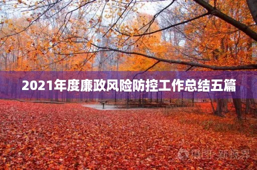 2021年度廉政风险防控工作总结五篇