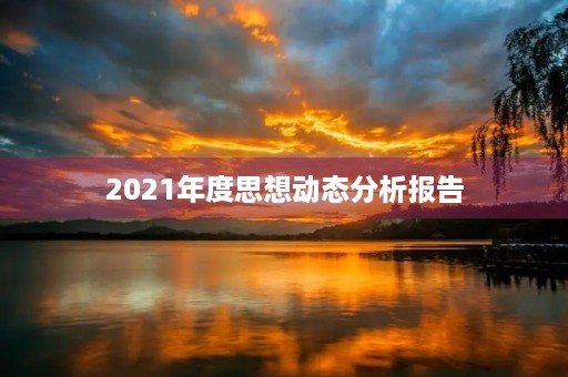 2021年度思想动态分析报告