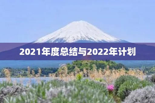 2021年度总结与2022年计划