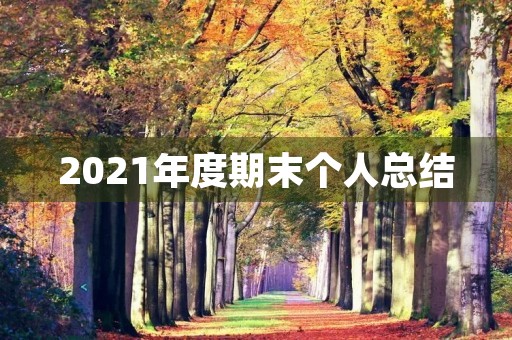 2021年度期末个人总结 2021年度期末个人总结