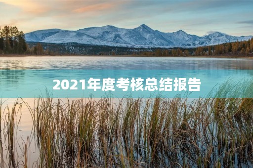 2021年度考核总结报告