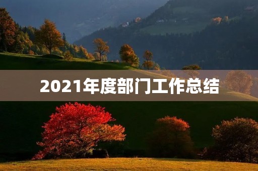 2021年度部门工作总结