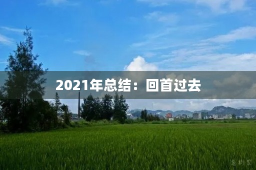 2021年总结：回首过去，展望未来