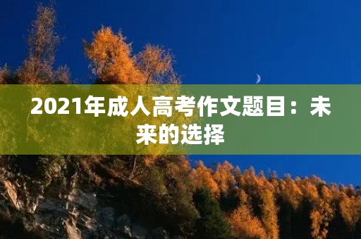 2021年成人高考作文题目:未来的选择 2021年成人高考作文题目:未来的选择