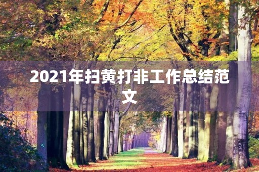 2021年扫黄打非工作总结范文