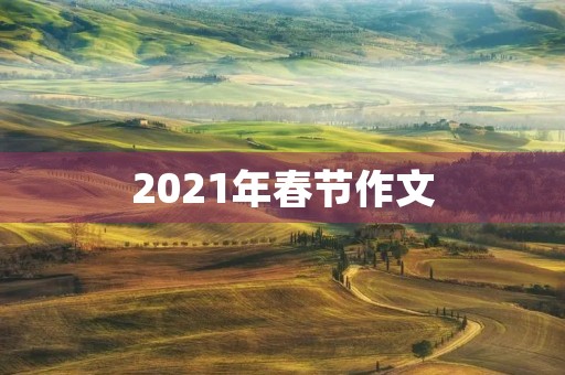 2021年春节作文