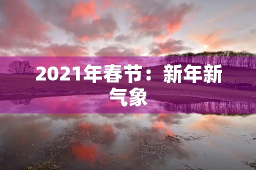 2021年春节:新年新气象,共享团圆时光 2021年春节:新年新气象,共享团圆时光