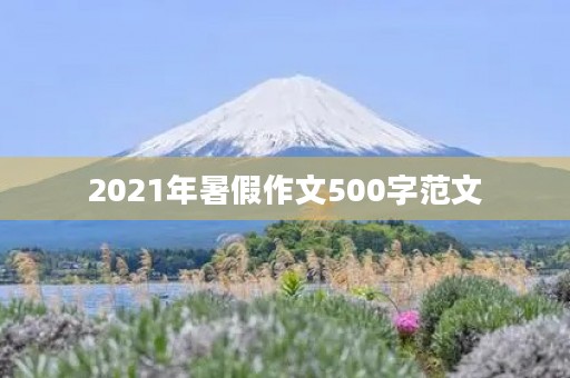 2021年暑假作文500字范文