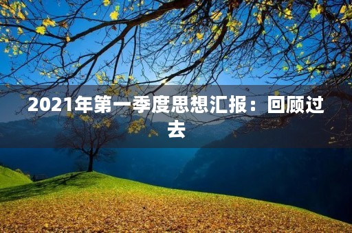 2021年第一季度思想汇报：回顾过去，展望未来