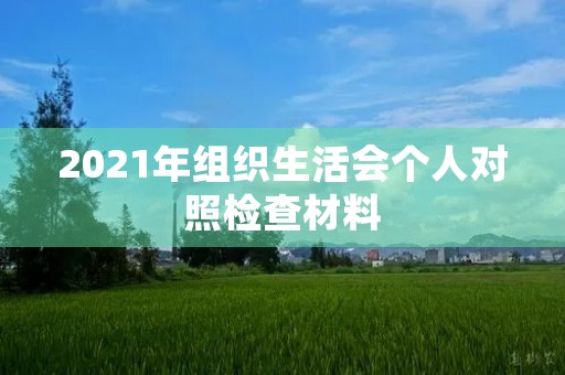 2021年组织生活会个人对照检查材料