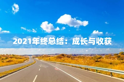 2021年终总结：成长与收获