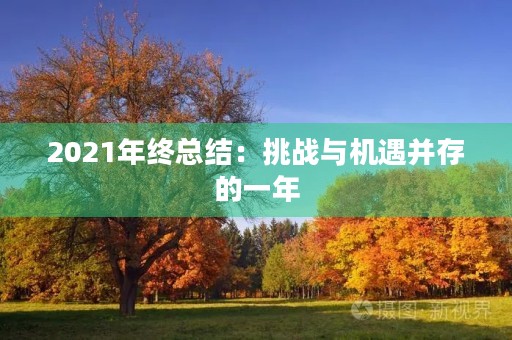 2021年终总结：挑战与机遇并存的一年