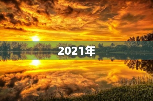 2021年，我在不断地进步与成长中度过。这一年，我经历了许多挑战与机遇，也取得了不少的成绩。在这篇个人年度总结中，我将对自己的成长与收获进行回顾与总结。