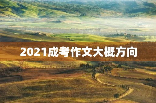 2021成考作文大概方向