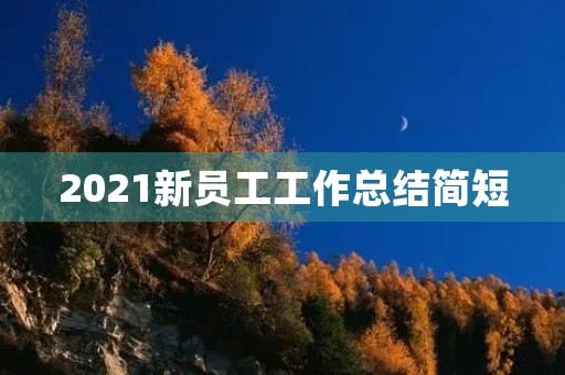 2021新员工工作总结简短