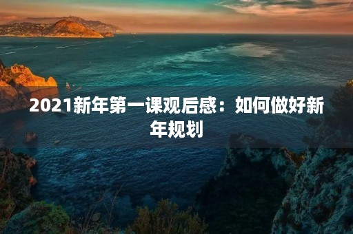 2021新年第一课观后感：如何做好新年规划