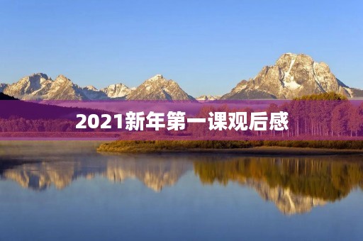 2021新年第一课观后感 2021新年第一课观后感
