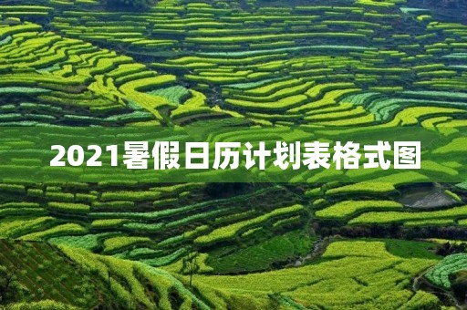 2021暑假日历计划表格式图