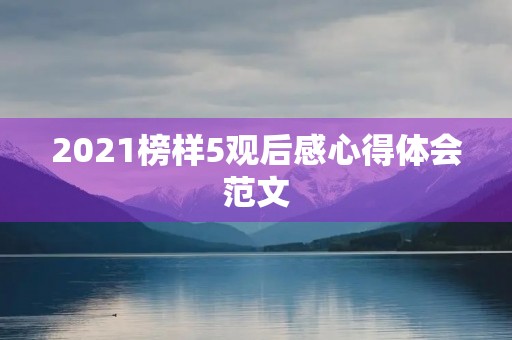 2021榜样5观后感心得体会范文