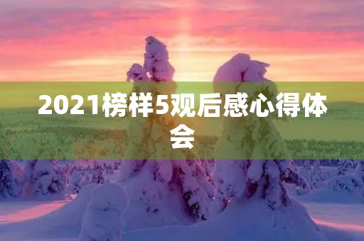 2021榜样5观后感心得体会 2021榜样5观后感心得体会