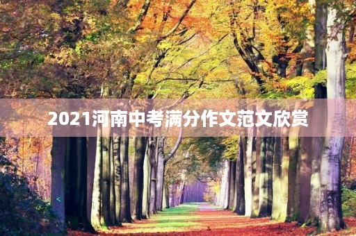 2021河南中考满分作文范文欣赏