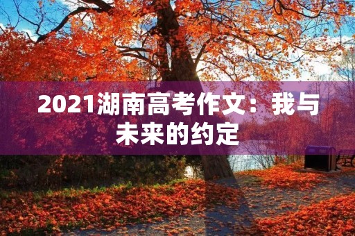2021湖南高考作文：我与未来的约定