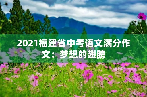 2021福建省中考语文满分作文:梦想的翅膀 2021福建省中考语文满分作文:梦想的翅膀