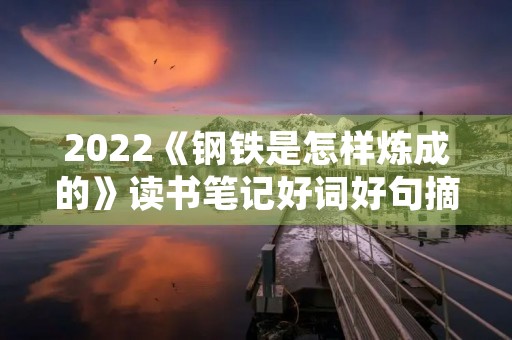 2022《钢铁是怎样炼成的》读书笔记好词好句摘抄