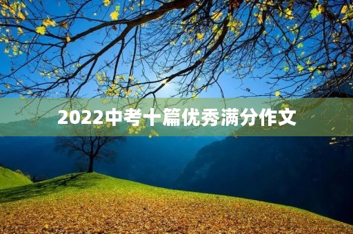 2022中考十篇优秀满分作文