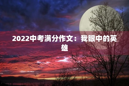 2022中考满分作文:我眼中的英雄 2022中考满分作文:我眼中的英雄