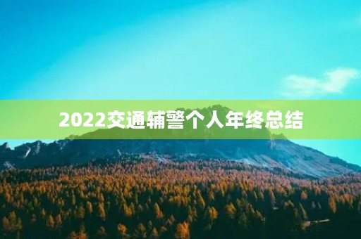 2022交通辅警个人年终总结