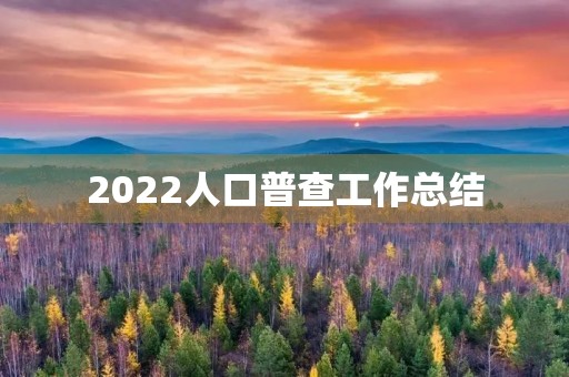 2022人口普查工作总结