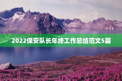 2022保安队长年终工作总结范文5篇