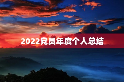 2022党员年度个人总结