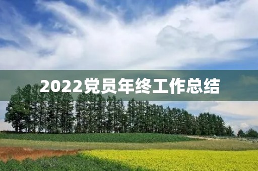 2022党员年终工作总结