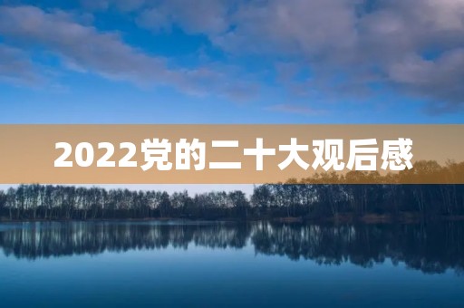 2022党的二十大观后感