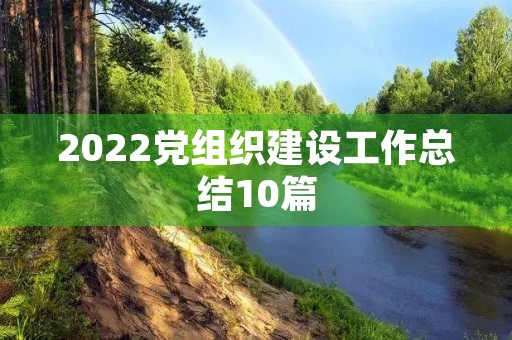 2022党组织建设工作总结10篇