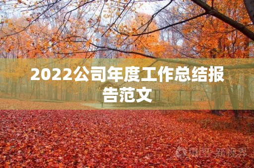 2022公司年度工作总结报告范文 2022公司年度工作总结报告范文