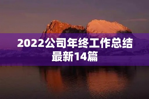 2022公司年终工作总结最新14篇