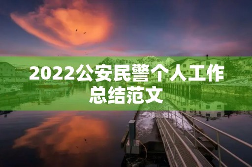 2022公安民警个人工作总结范文