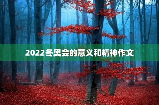 2022冬奥会的意义和精神作文 2022冬奥会的意义和精神作文