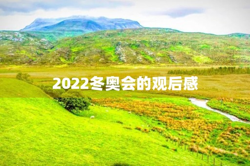 2022冬奥会的观后感