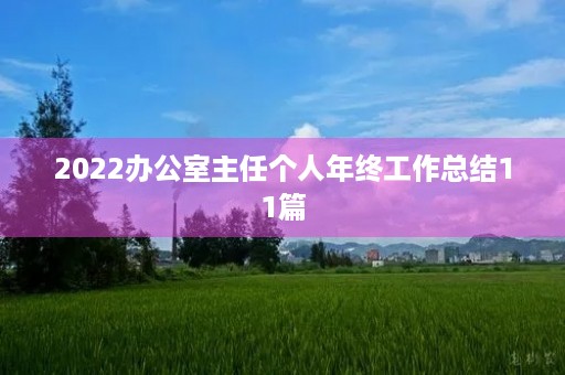 2022办公室主任个人年终工作总结11篇