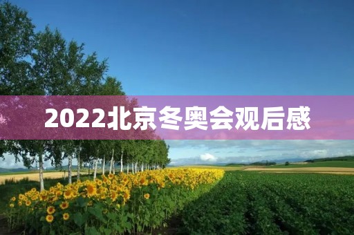 2022北京冬奥会观后感 2022北京冬奥会观后感