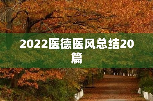2022医德医风总结20篇