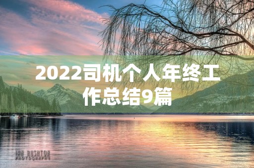 2022司机个人年终工作总结9篇