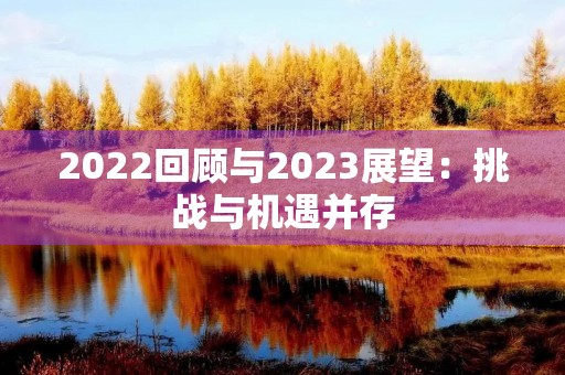 2022回顾与2023展望：挑战与机遇并存