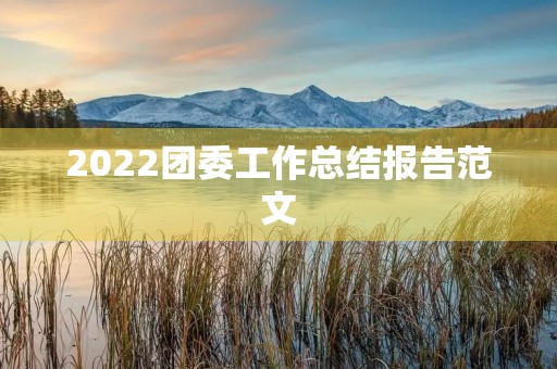 2022团委工作总结报告范文