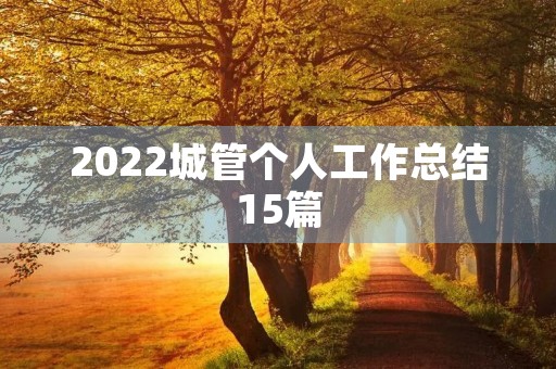 2022城管个人工作总结15篇